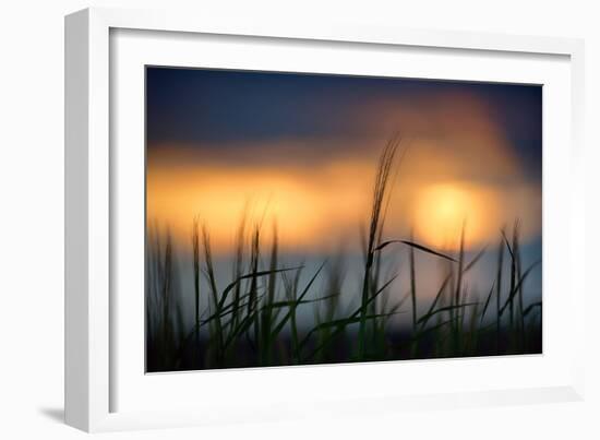 Palouse Sundown-Ursula Abresch-Framed Photographic Print