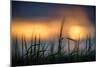 Palouse Sundown-Ursula Abresch-Mounted Photographic Print