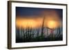 Palouse Sundown-Ursula Abresch-Framed Photographic Print