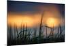 Palouse Sundown-Ursula Abresch-Mounted Photographic Print