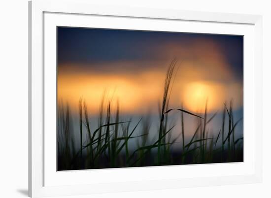 Palouse Sundown-Ursula Abresch-Framed Photographic Print