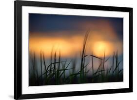 Palouse Sundown-Ursula Abresch-Framed Photographic Print