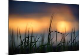 Palouse Sundown-Ursula Abresch-Mounted Photographic Print