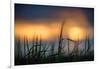 Palouse Sundown-Ursula Abresch-Framed Photographic Print