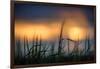 Palouse Sundown-Ursula Abresch-Framed Photographic Print