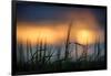 Palouse Sundown-Ursula Abresch-Framed Photographic Print