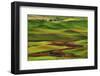 Palouse View from Steptoe Butte of Agriculture Cultivation Patterns, Washington, USA-Michel Hersen-Framed Photographic Print