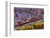 Palouse, Washington-Art Wolfe-Framed Photographic Print