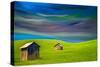 Palouse-Ursula Abresch-Stretched Canvas