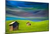 Palouse-Ursula Abresch-Mounted Photographic Print