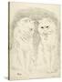 Pals-Louis Wain-Stretched Canvas