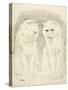 Pals-Louis Wain-Stretched Canvas