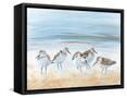 Framed Canvas