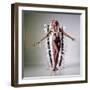 Pam Grier-null-Framed Photo