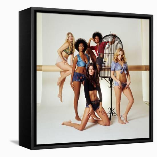 Pam Grier-null-Framed Stretched Canvas