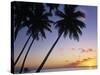 Pam Tree and Beach at Sunset, Tahiti, French Polynesia-Neil Farrin-Stretched Canvas