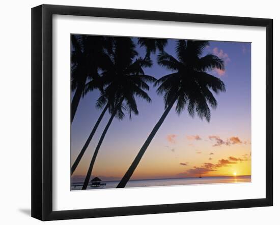 Pam Tree and Beach at Sunset, Tahiti, French Polynesia-Neil Farrin-Framed Premium Photographic Print