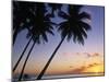 Pam Tree and Beach at Sunset, Tahiti, French Polynesia-Neil Farrin-Mounted Premium Photographic Print