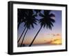 Pam Tree and Beach at Sunset, Tahiti, French Polynesia-Neil Farrin-Framed Photographic Print