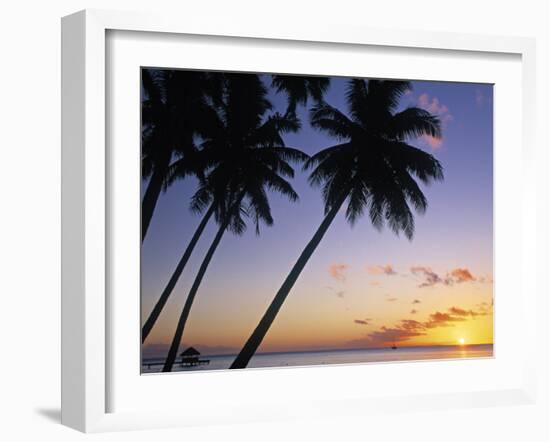 Pam Tree and Beach at Sunset, Tahiti, French Polynesia-Neil Farrin-Framed Photographic Print
