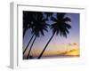 Pam Tree and Beach at Sunset, Tahiti, French Polynesia-Neil Farrin-Framed Photographic Print