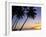 Pam Tree and Beach at Sunset, Tahiti, French Polynesia-Neil Farrin-Framed Photographic Print