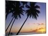 Pam Tree and Beach at Sunset, Tahiti, French Polynesia-Neil Farrin-Mounted Photographic Print
