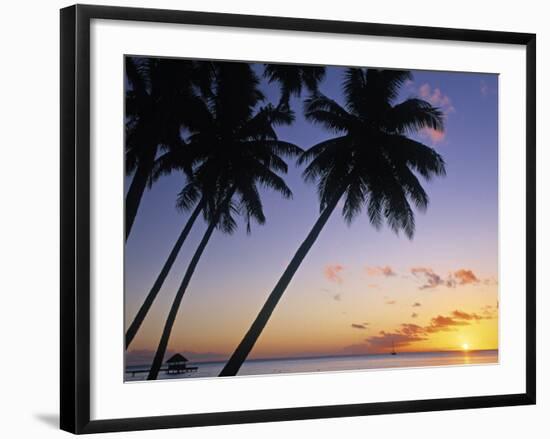 Pam Tree and Beach at Sunset, Tahiti, French Polynesia-Neil Farrin-Framed Photographic Print