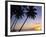 Pam Tree and Beach at Sunset, Tahiti, French Polynesia-Neil Farrin-Framed Photographic Print