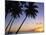 Pam Tree and Beach at Sunset, Tahiti, French Polynesia-Neil Farrin-Mounted Photographic Print