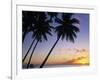 Pam Tree and Beach at Sunset, Tahiti, French Polynesia-Neil Farrin-Framed Photographic Print