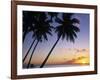 Pam Tree and Beach at Sunset, Tahiti, French Polynesia-Neil Farrin-Framed Photographic Print