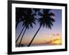 Pam Tree and Beach at Sunset, Tahiti, French Polynesia-Neil Farrin-Framed Photographic Print