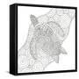 Canvas Black