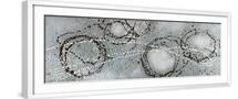 White Frame