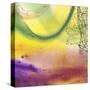 Stretched Canvas