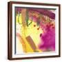Brown Frame