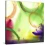 Stretched Canvas