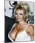 Pamela Anderson-null-Mounted Photo