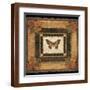 Brown Frame