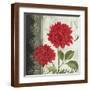 Brown Frame