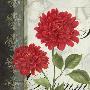 Just the Print