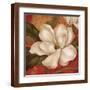 Brown Frame