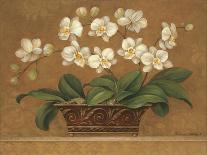 Inspiration Magnolias-Pamela Gladding-Art Print