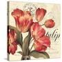 Stretched Canvas