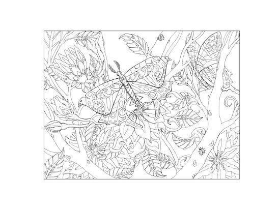 Coloring Poster, , large