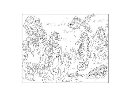 Coloring Poster, , large