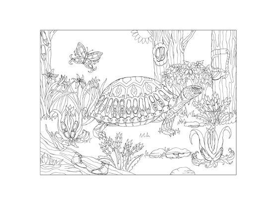 Coloring Poster, , large