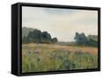 Framed Canvas