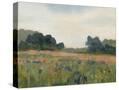 Stretched Canvas